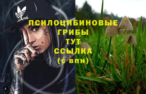 стафф Нефтекумск