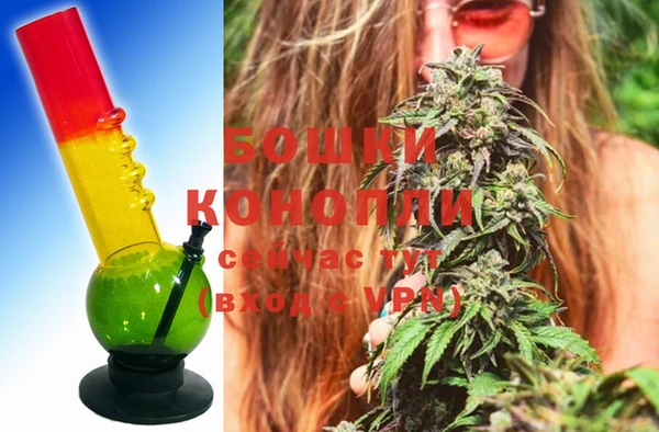 стафф Нефтекумск