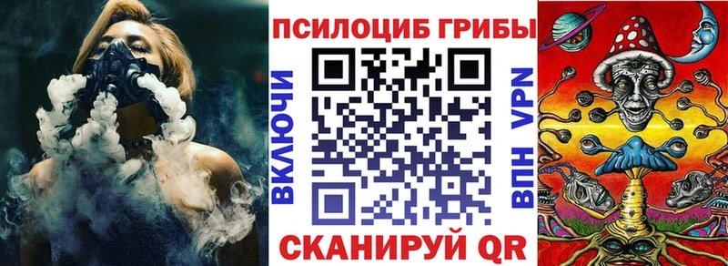 закладки  Ильский  Галлюциногенные грибы MAGIC MUSHROOMS 